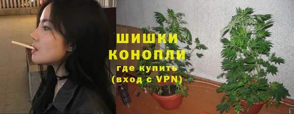 ПСИЛОЦИБИНОВЫЕ ГРИБЫ Баксан