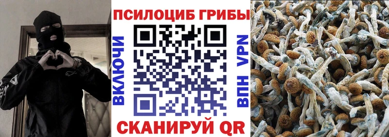 хочу   Рассказово  Псилоцибиновые грибы ЛСД 